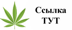 Купить наркотики в Новотроицке